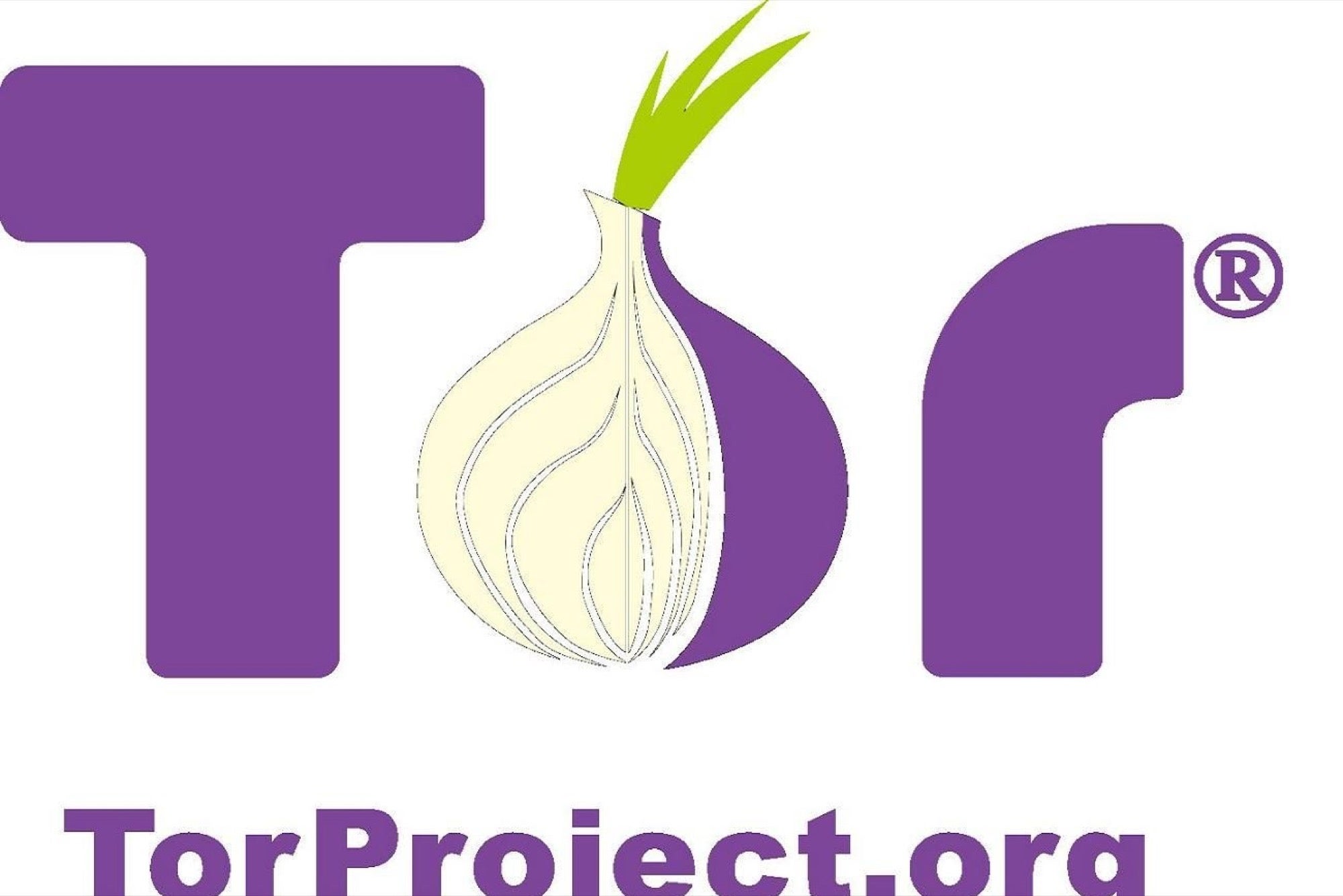 Tor Fbi Fearing For Her Life, Tor's Developer Leaves US to Dodge The FBI