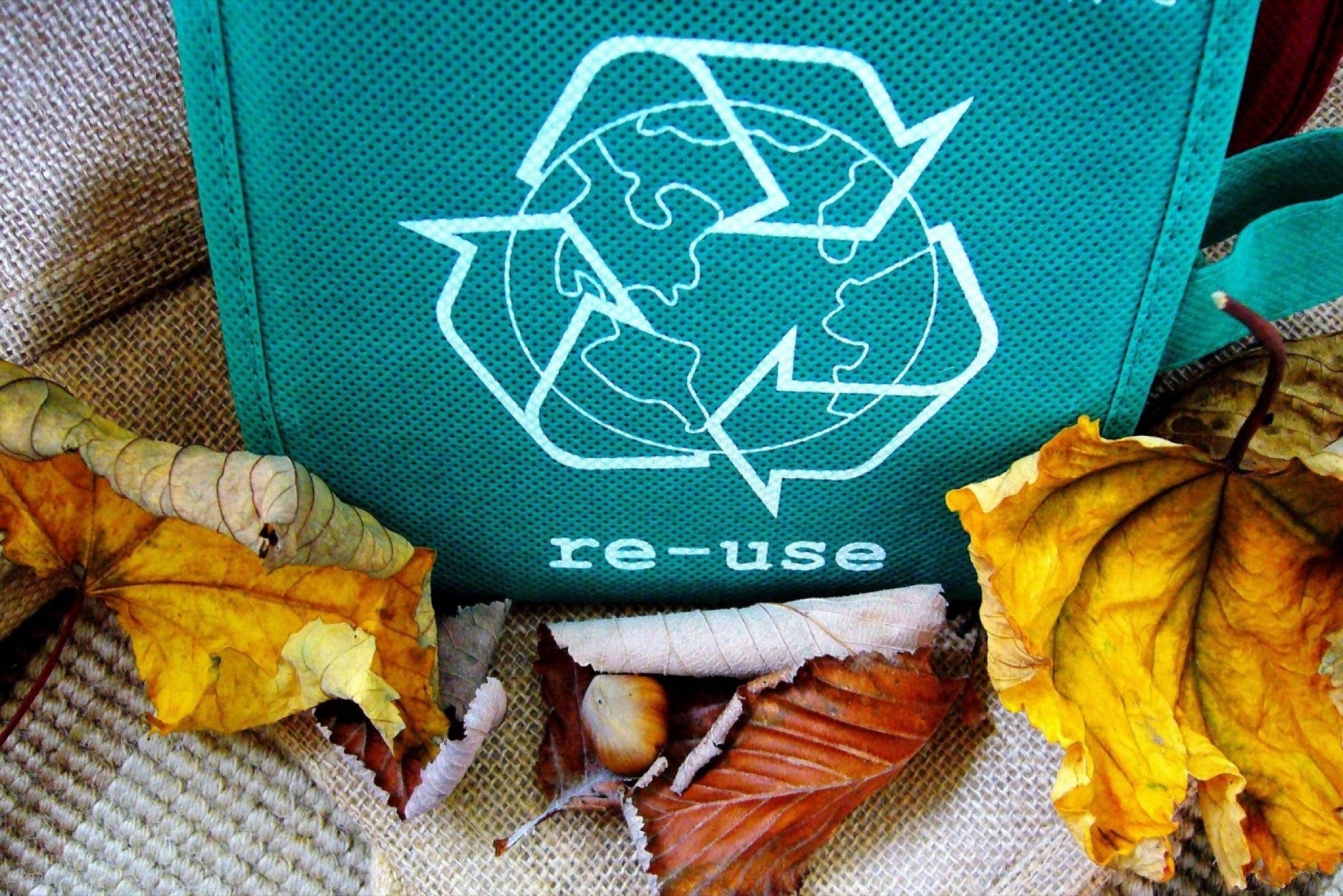 These Start-ups are Coming up with Smart Initiatives to Recycle Waste