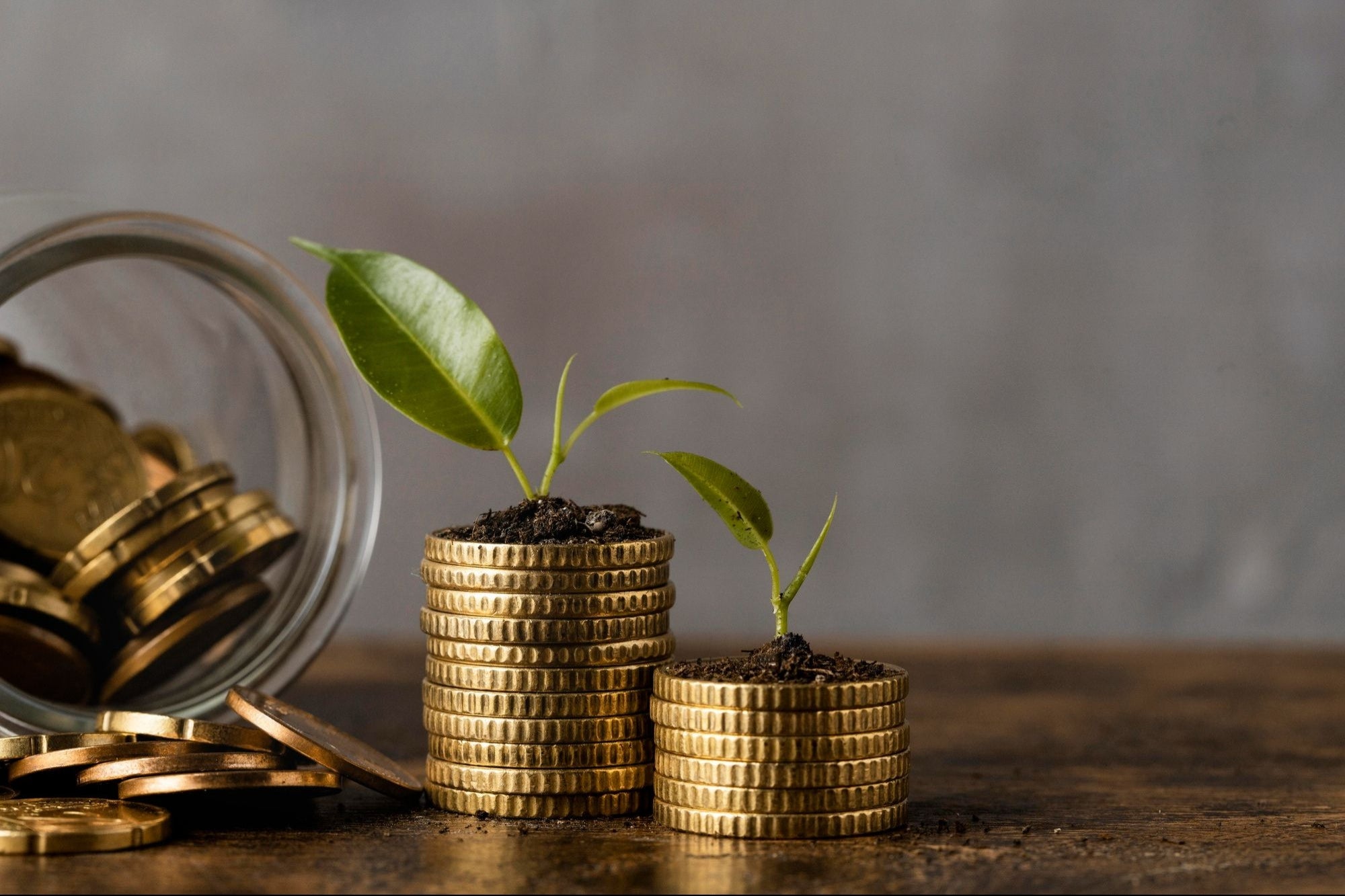 Ayurvedic Wellness Startup Dr Mantra Raises Nearly $200,000 In Funding